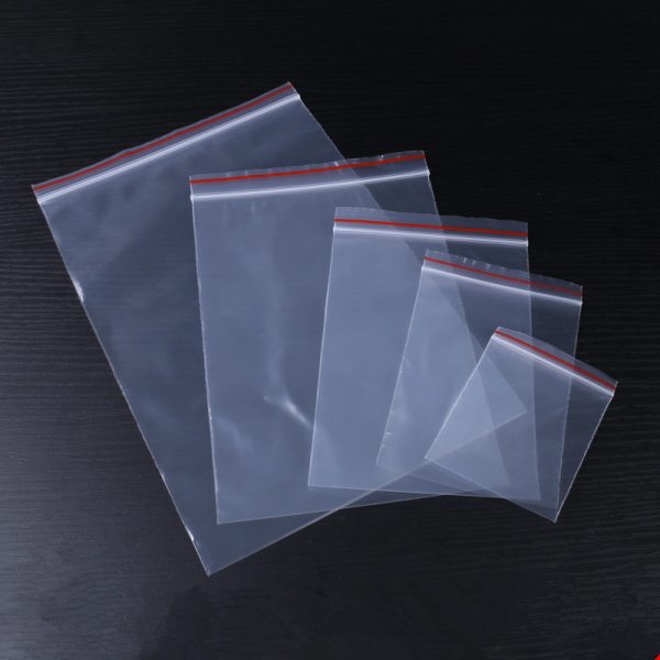 Plastic food packaging bag (4)